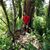 Yoan Morales's profile image