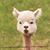 Michael Clark's profile image