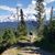 Jeffery Prunty's profile image