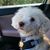 Lea Ann White's profile image