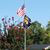 Cheryl A Spindler's profile image