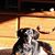 Artie Jones's profile image