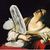 Chris Fornell's profile image