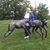 Pamela Sue Johnson's profile image