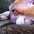Jennifer Houston D'Antonio's profile image