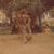 Greg Hansen's profile image