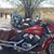 Trudy Viscusi's profile image