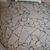 Tustin Tile's profile image