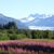 Deborah Hillard's profile image