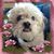 Lynn Murray's profile image