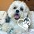 Susan Foster Beste's profile image