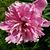 Danna Whitlock Clayton's profile image