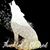 Jules Reed's profile image
