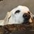 Gumbo Jordan's profile image