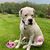 Kimberly Stanley Keeton's profile image