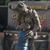 Deane McTear Ilukowicz's profile image