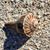 Becky Clark Kosten's profile image