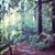 Kelly Liao's profile image