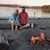 Kim Grimley's profile image