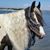 Deb Fariell's profile image