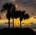 Teresa Presson's profile image