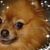 Connie Adkerson Parsley's profile image