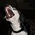 Kim Janson's profile image