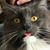 Steve Beall's profile image
