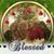 Kathleen Meyer-Blank's profile image