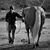 Heather Rawson's profile image