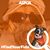Sinaed Bailey's profile image