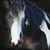 Diane Quay's profile image
