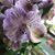 Sherri Godfrey Doree's profile image