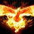 Jose Caudillo's profile image