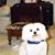 Jean Yap's profile image