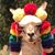 Marc Rosenthal's profile image