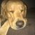Gloria Wiley's profile image