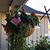 Debbie Knackert's profile image