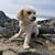 Debra Criner's profile image