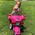 Sandra Ryan's profile image