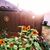 Marlissa Gibson's profile image