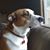 Mary Boffey's profile image