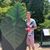 Charles James's profile image