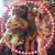 Kathy Rossa Sadlier's profile image