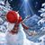 Marta Kimbrough's profile image