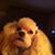 David Hall's profile image