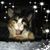 Tammie Survilla's profile image