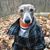 Denise Betz-Sudol's profile image