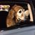 Melissa Wolin's profile image