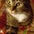 Stephanie Krause's profile image